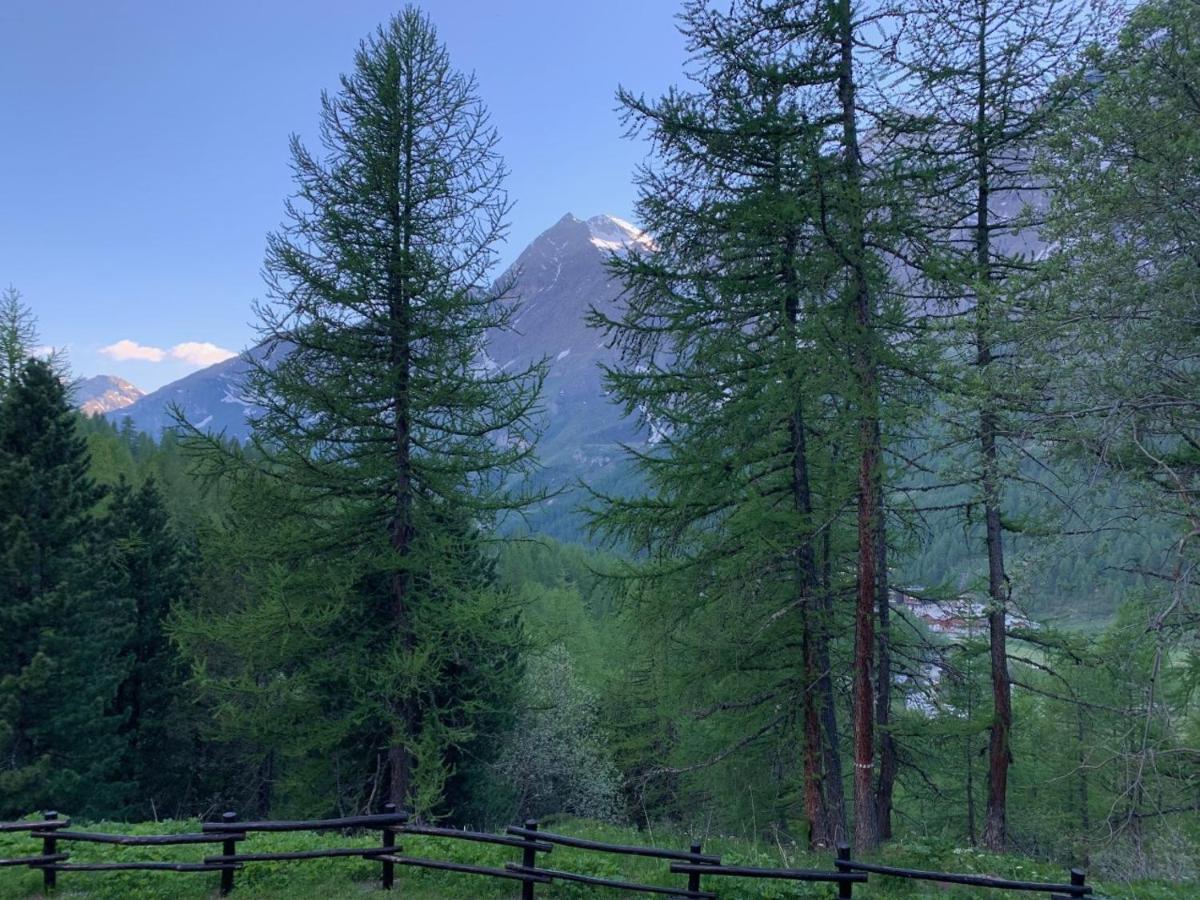 Casa Camas, Wide 2Bedroom, Feel The Mountain Breuil-Cervinia Εξωτερικό φωτογραφία